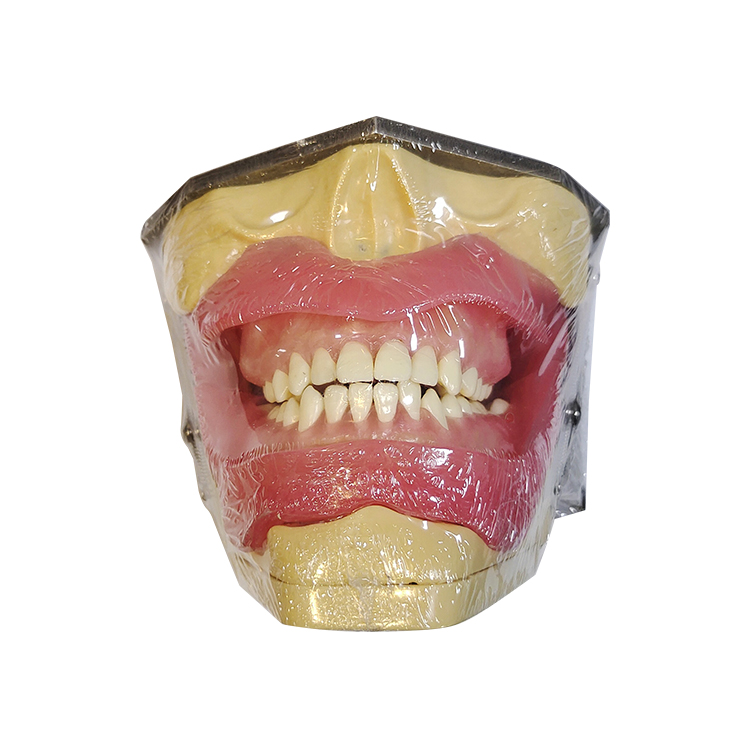 口腔麻酔および歯の抽出のためのUM-L2モデル